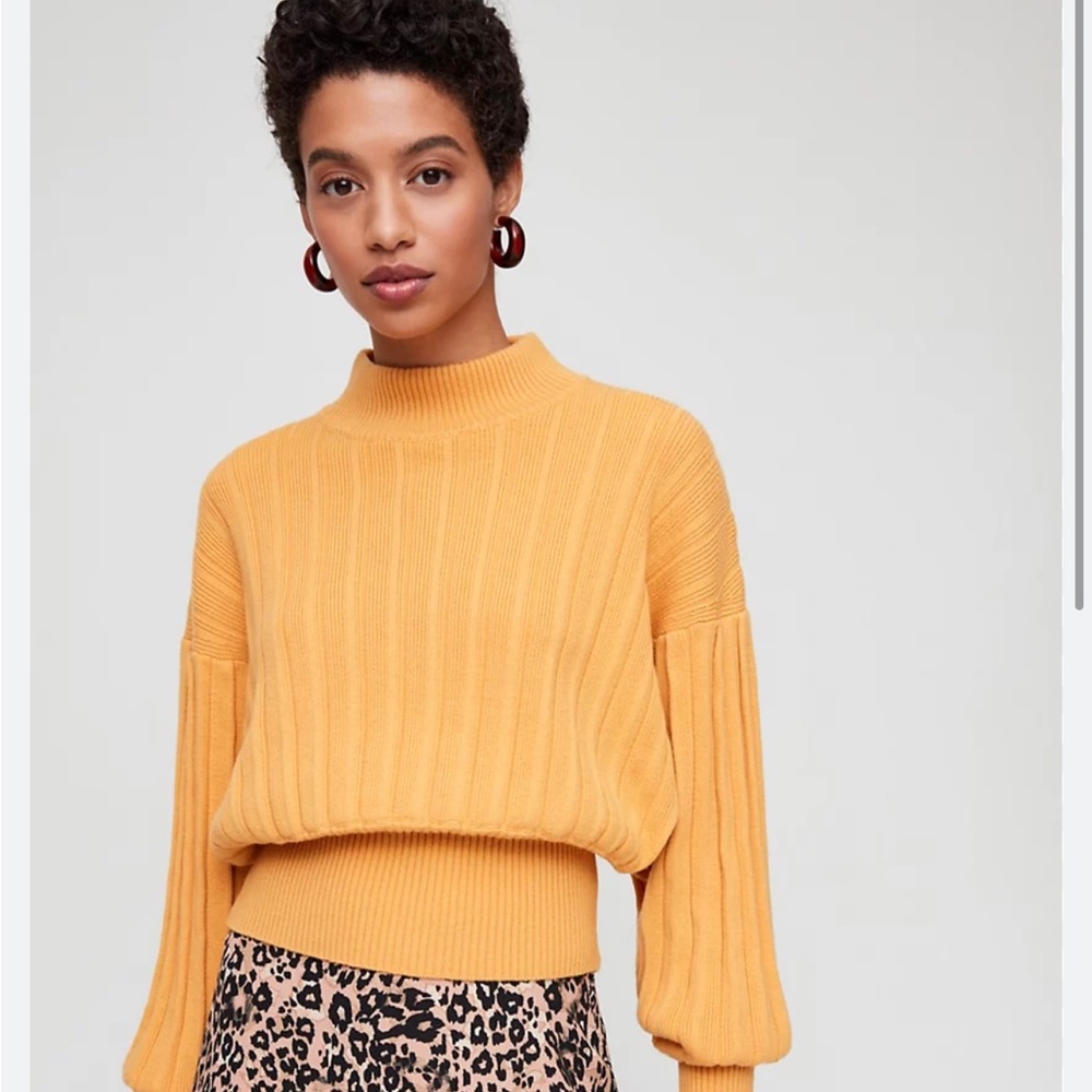 Wilfred Icalma Sweater. Lightly Used.
